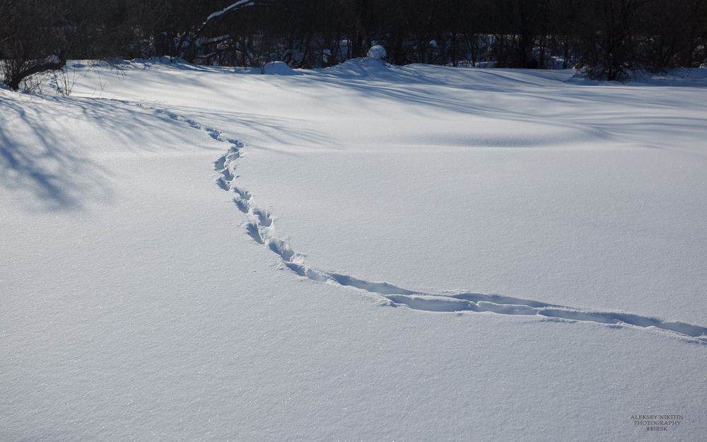 Photo 2840561