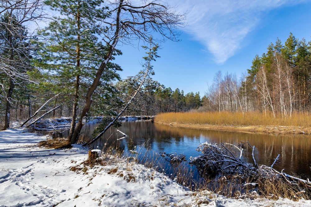 Последний снег