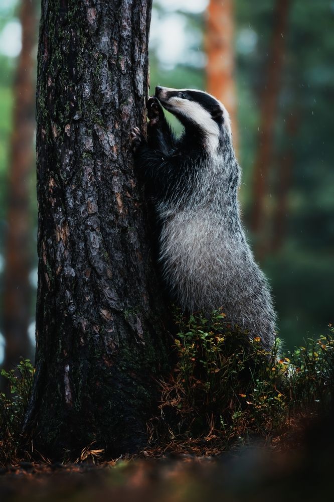 Photo 2842336