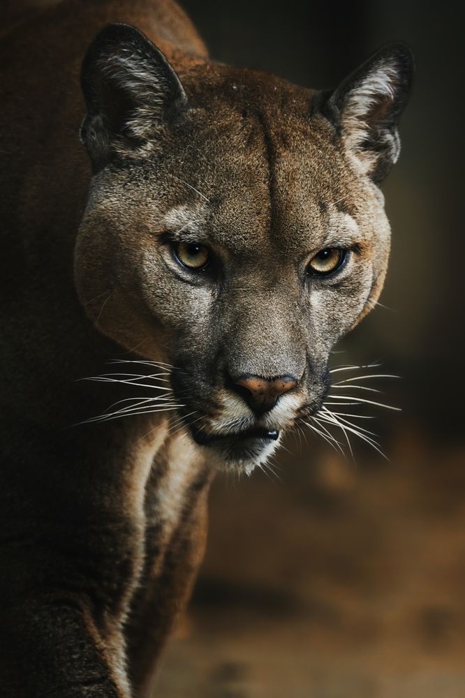 Photo 2842339