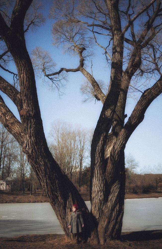 Photo 2842488