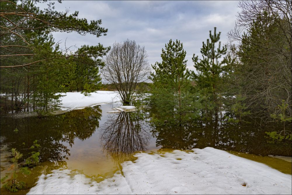 Торфяная водица половодья