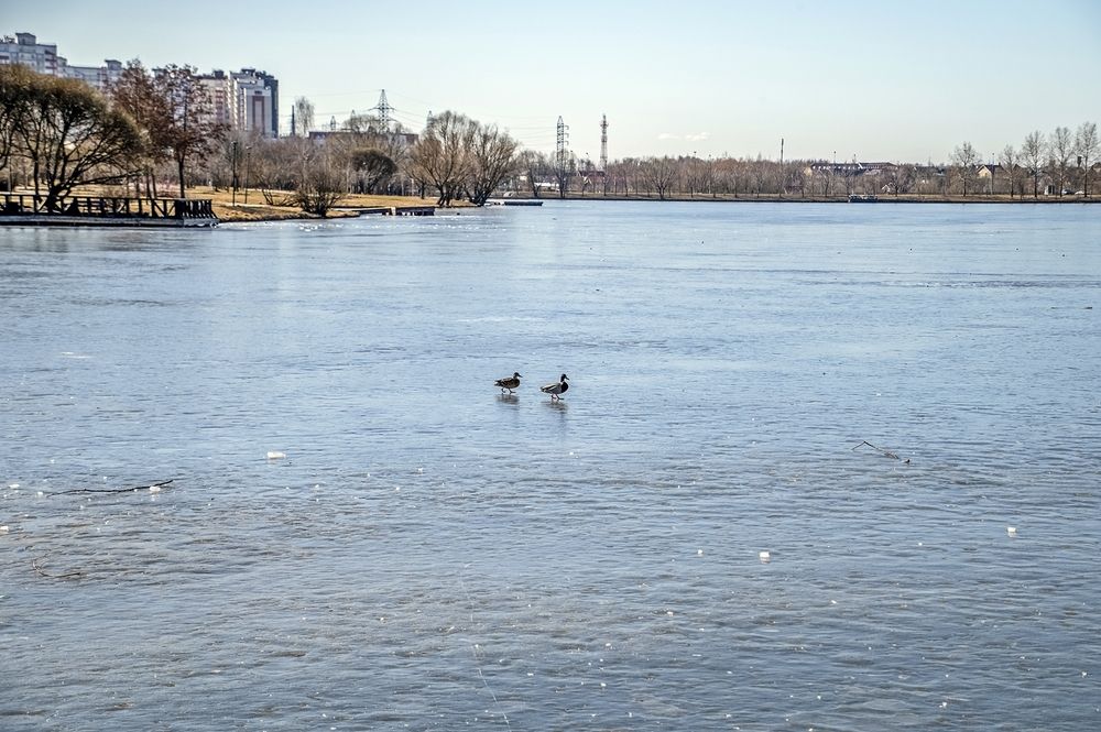 Март на городком пруду