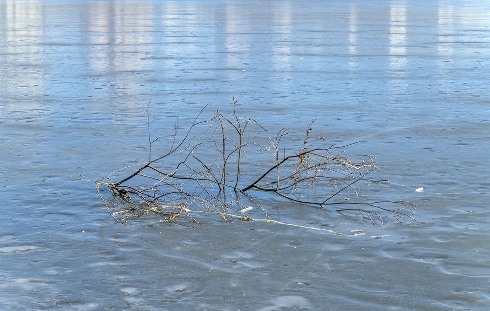 Март на городком пруду