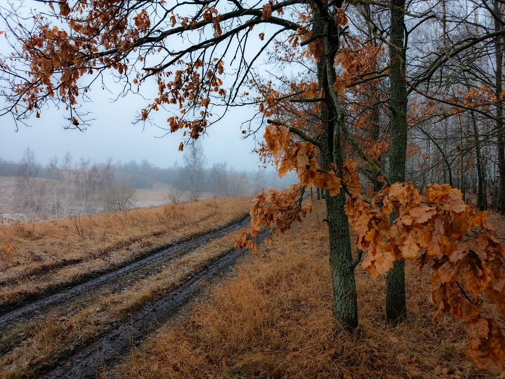 Photo 2843078