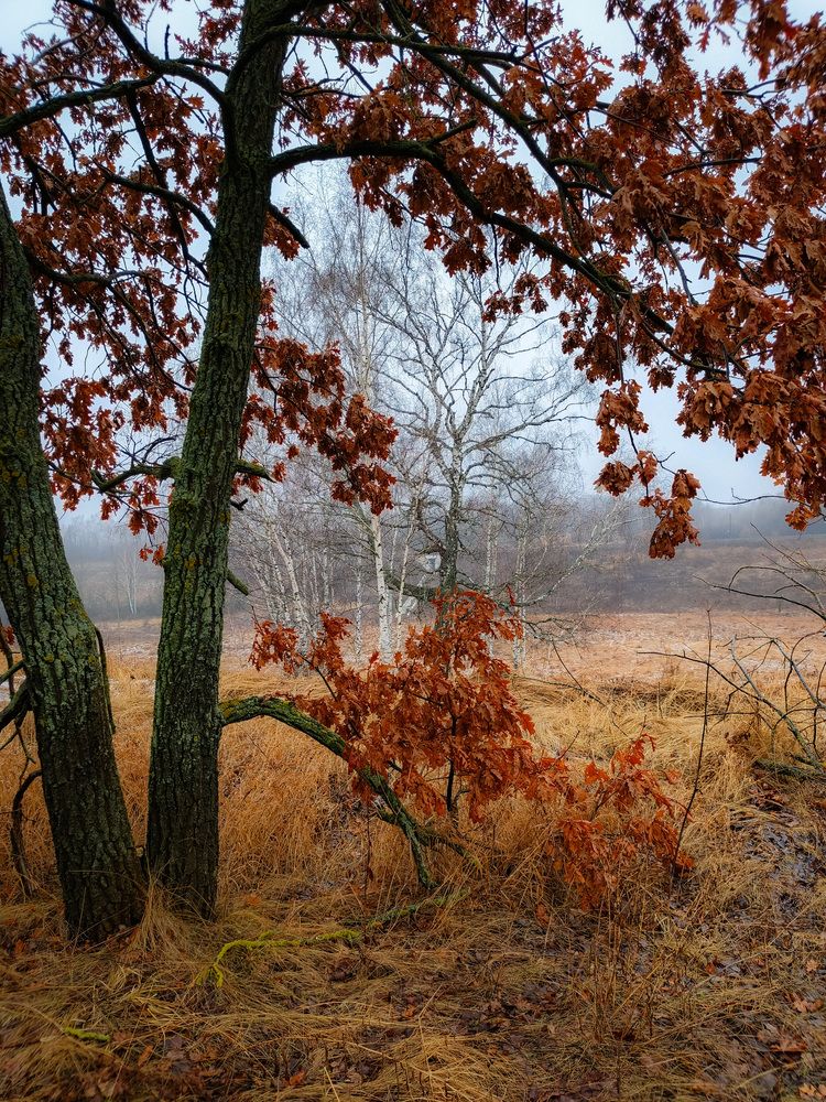 Photo 2843090