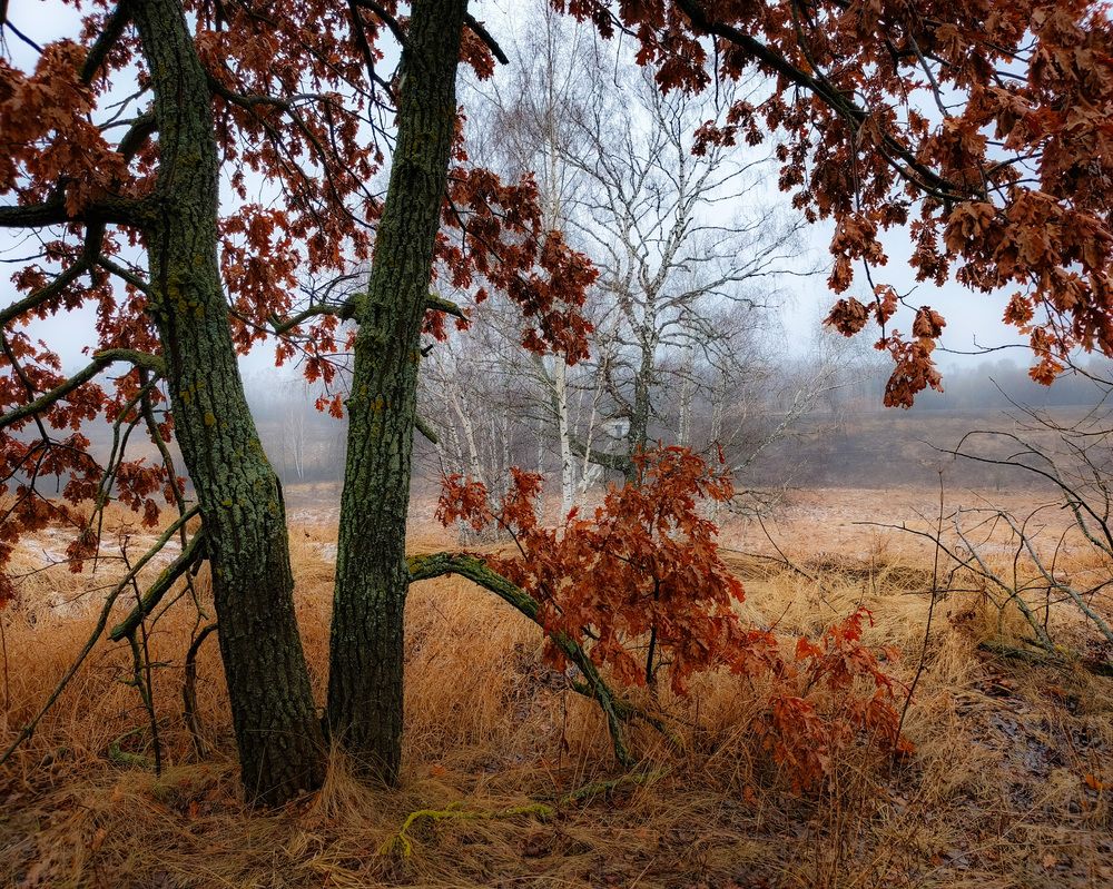 Photo 2843091
