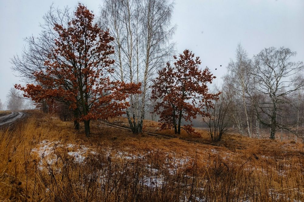 Photo 2843120