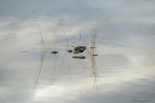 01 После волн и ветра, погонявших нас накануне, особенно приятно было поснимать спокойную воду ...