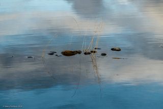 02 ... и камушки с травинками…)