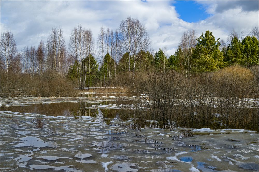 Проскользнуло солнышко