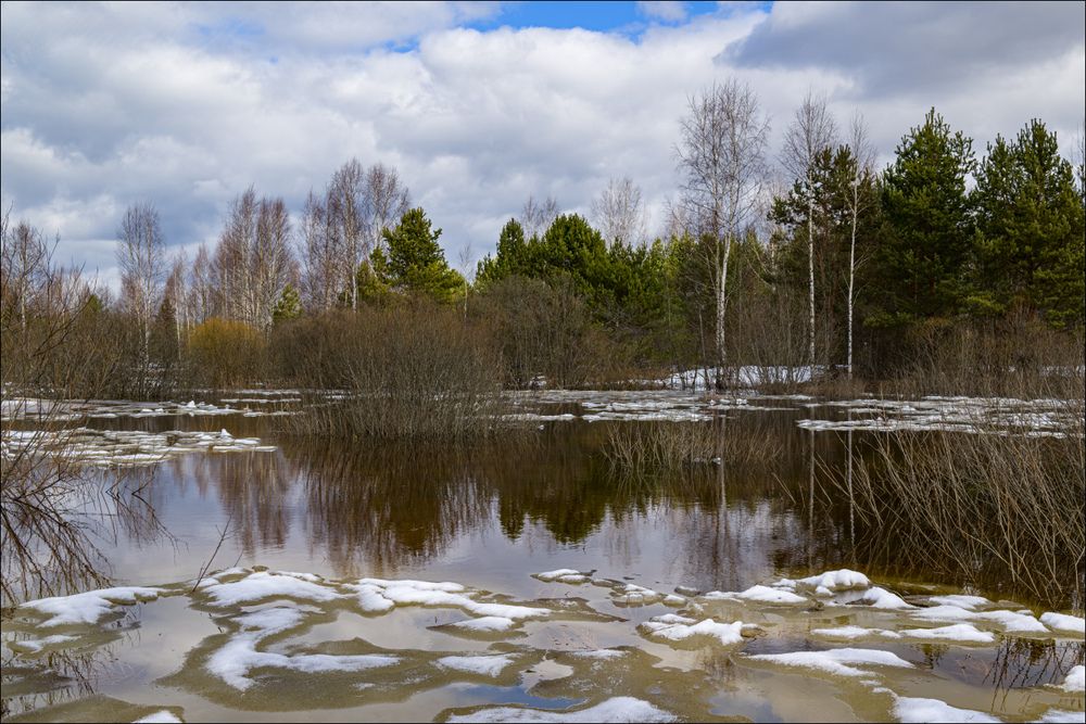 Половодье на лесном озерке