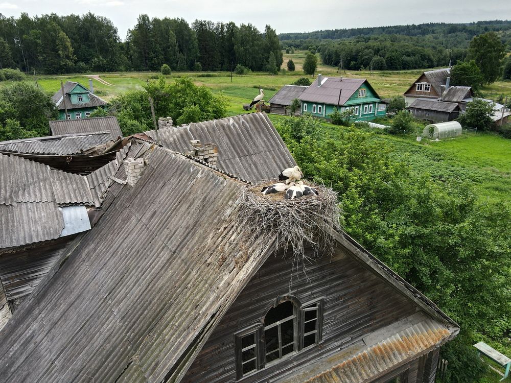 Семейка