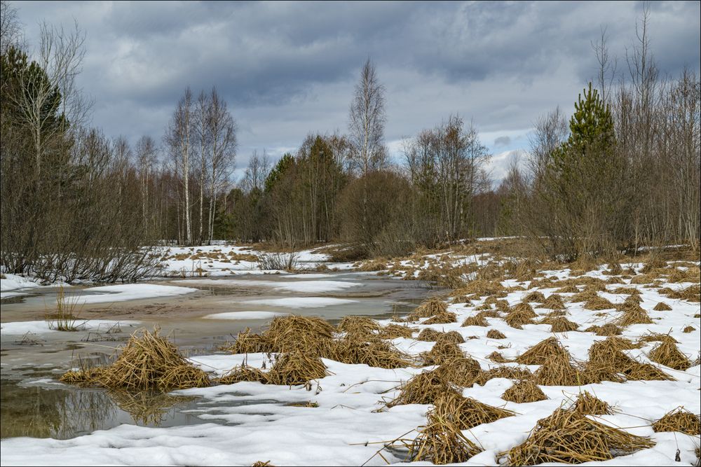 Весна в низинке