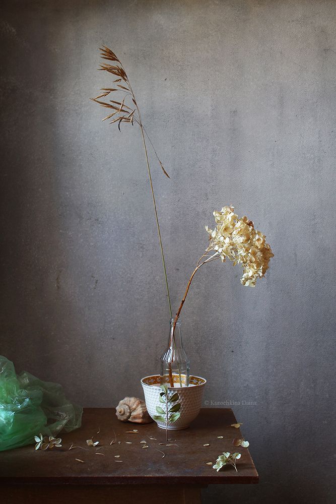 Photo 2844894