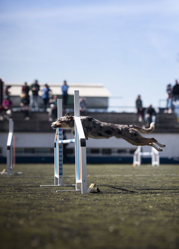 Agility