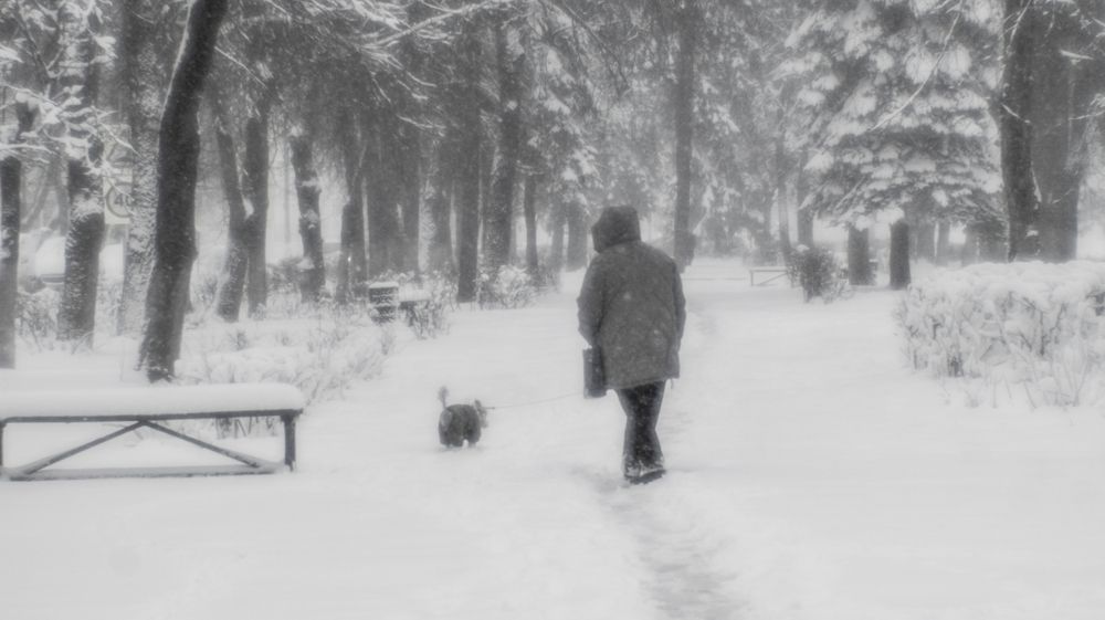 Апрельские шутки природы и погоды