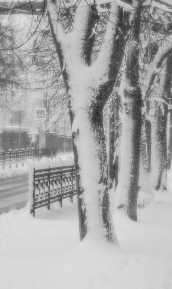 Апрельские шутки природы и погоды
