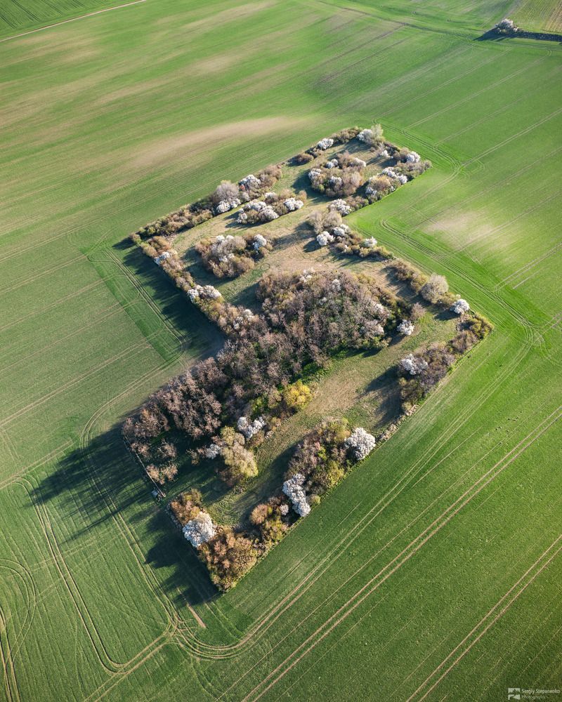 Spring Tetris