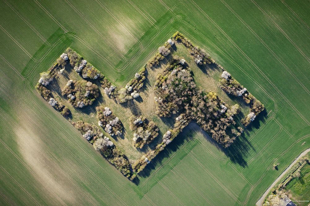 Spring Tetris