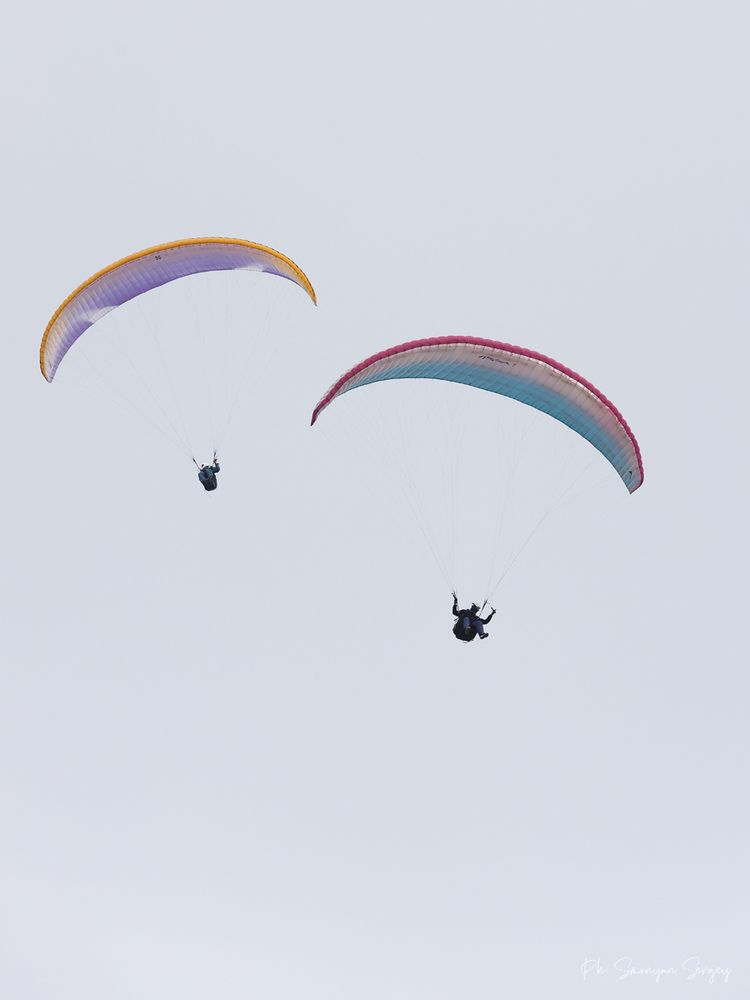 Photo 2847519