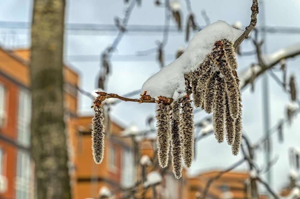 Декор апреля