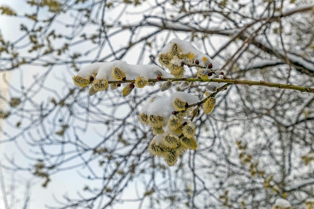 Декор апреля