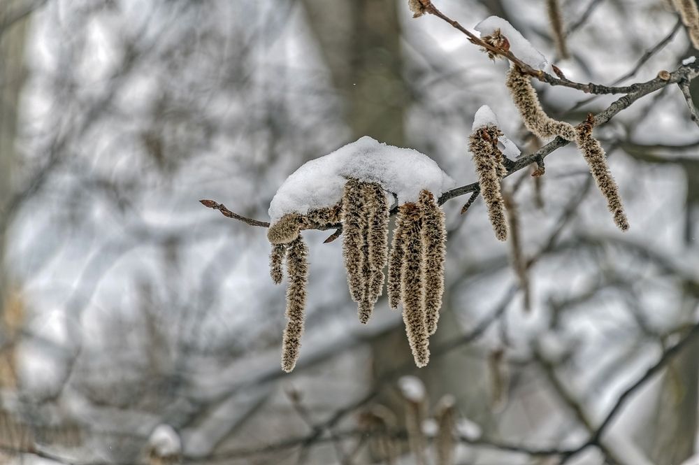 Декор апреля