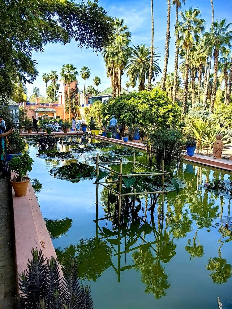 Yves Saint Laurent. Oasis