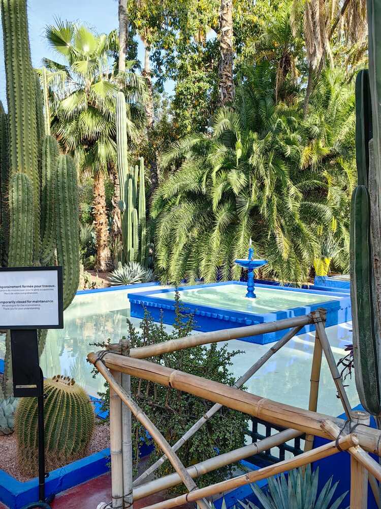 Yves Saint Laurent. Oasis