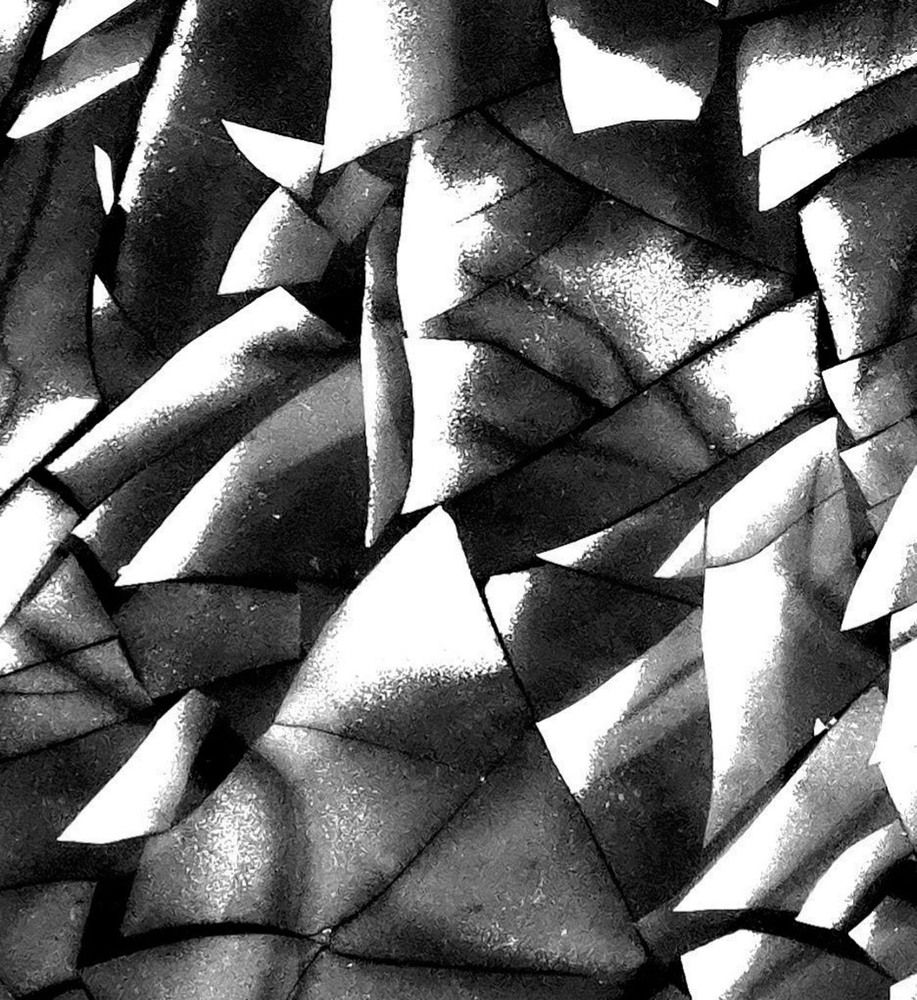 Photo 2849088