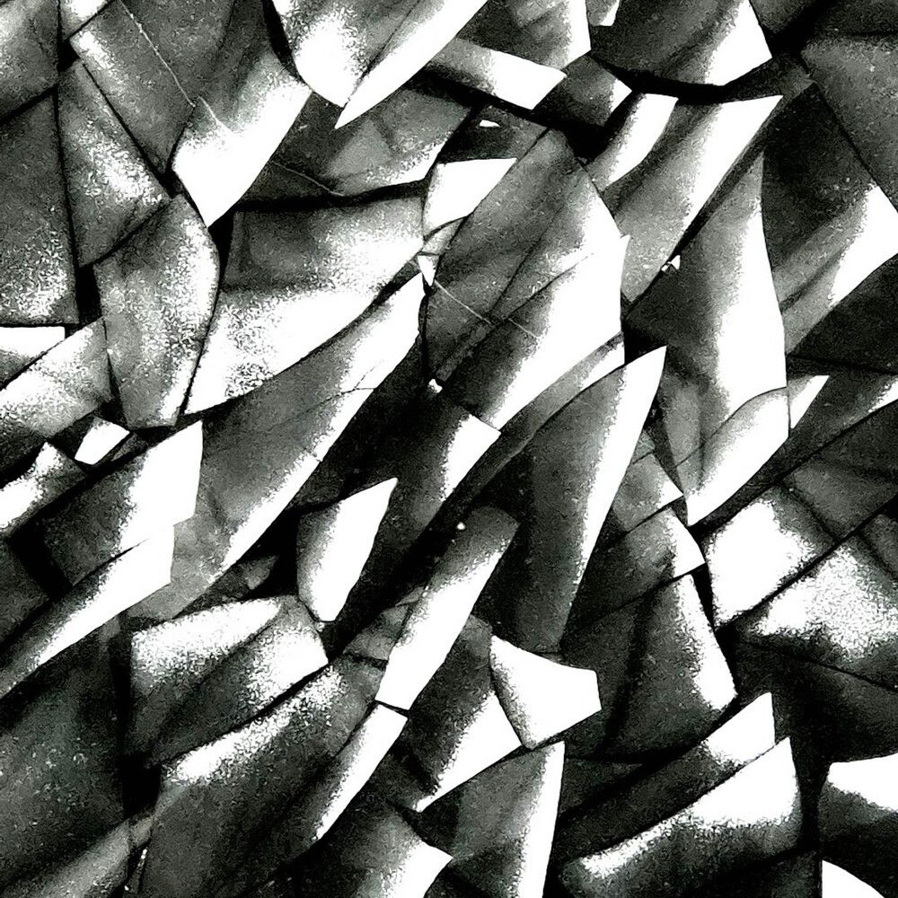 Photo 2849089