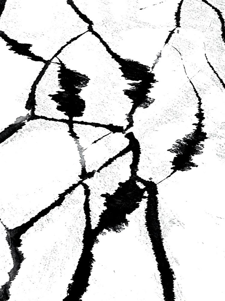 Photo 2849090