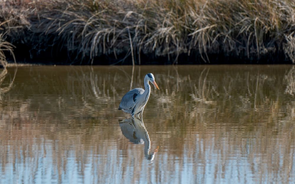 Nature | Wildlife Photography | Adventure