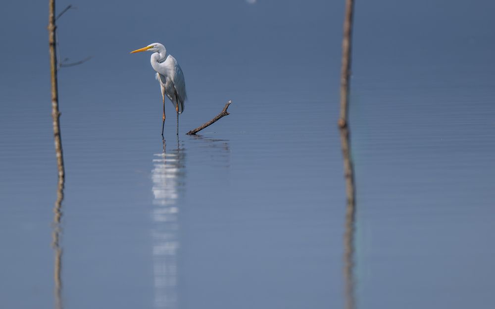 Nature | Wildlife Photography | Adventure
