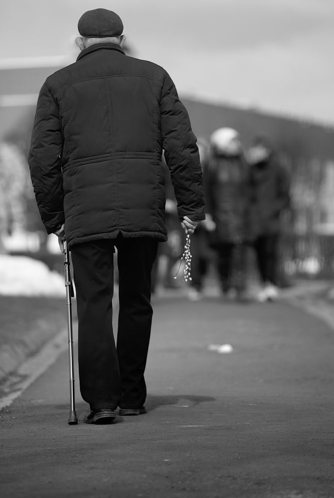 Апрель. Вербное воскресенье