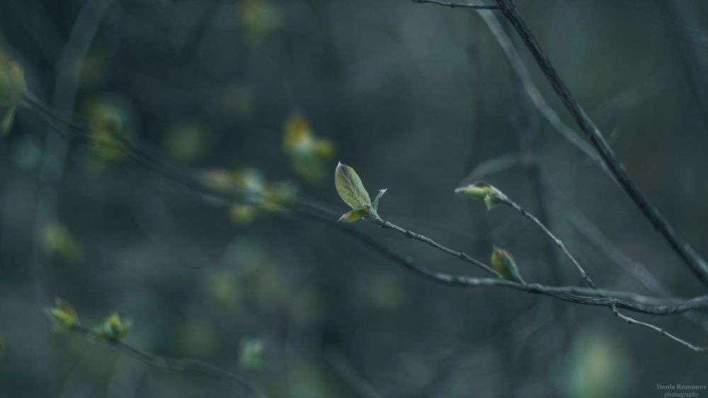 Photo 2852218