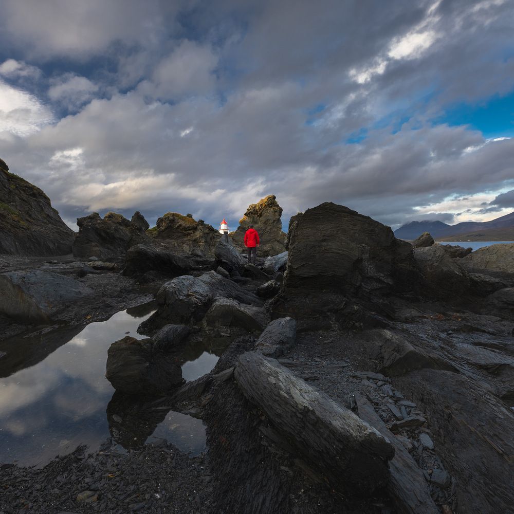 Lyngen