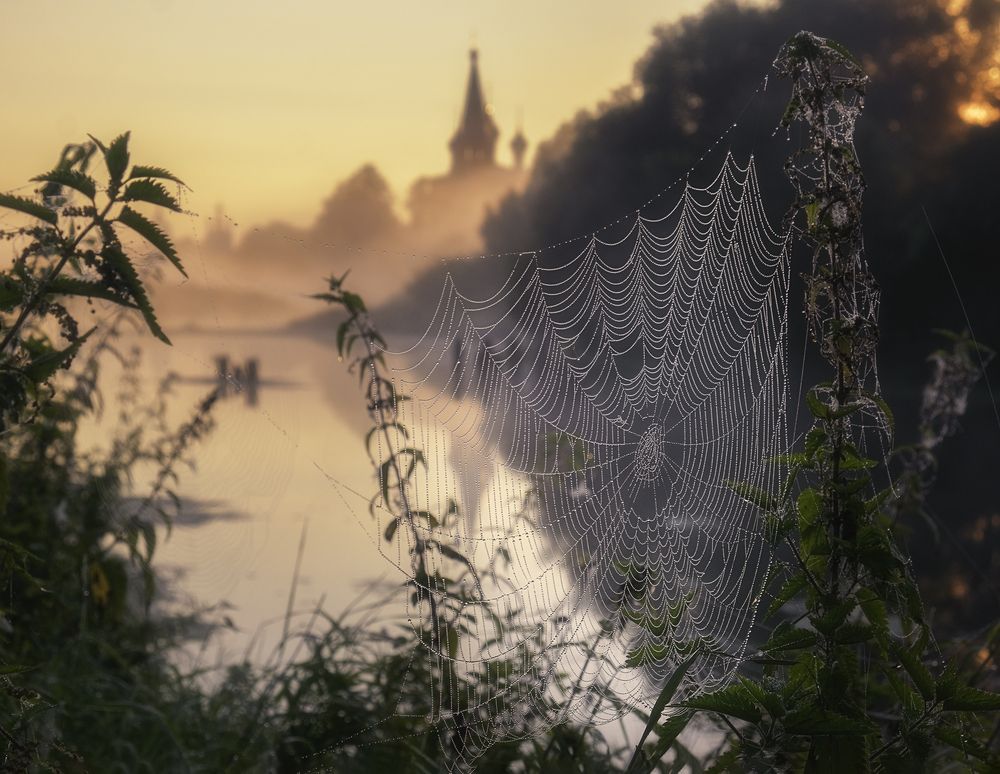 Утренние кружева