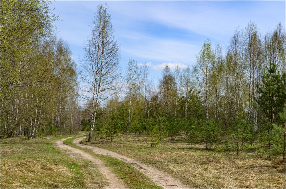 Праздник первой зелени