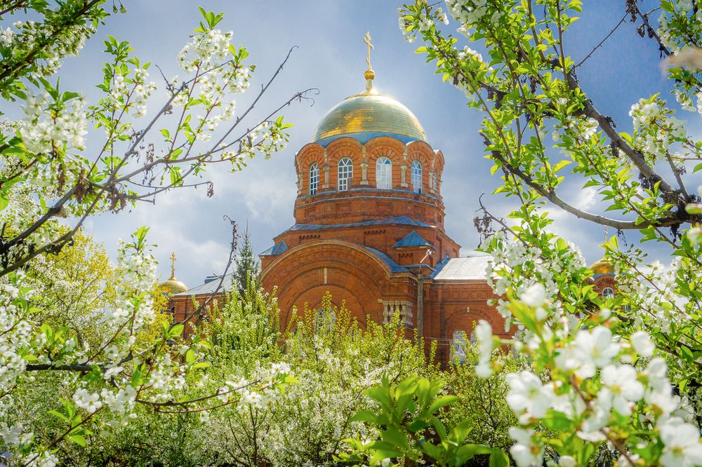 Цветущий город Тула. Тульский музей оружия.
