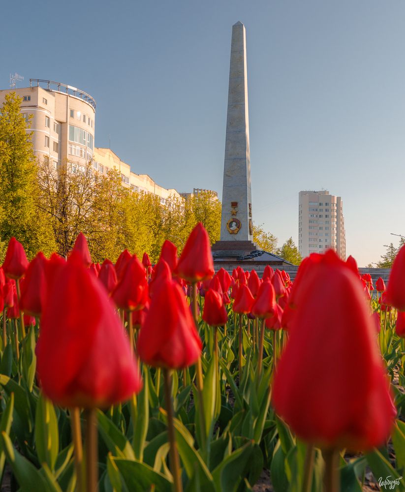 Стела Город-Герой в Туле.