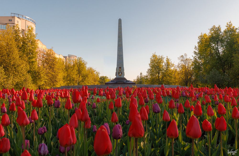 Стела Город-Герой в Туле.