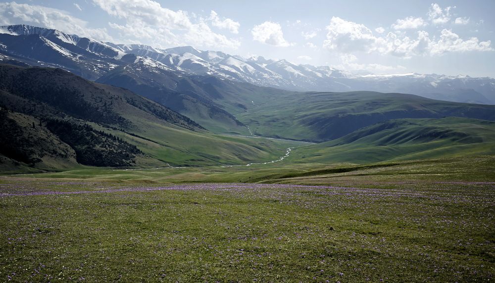 Photo 2857509