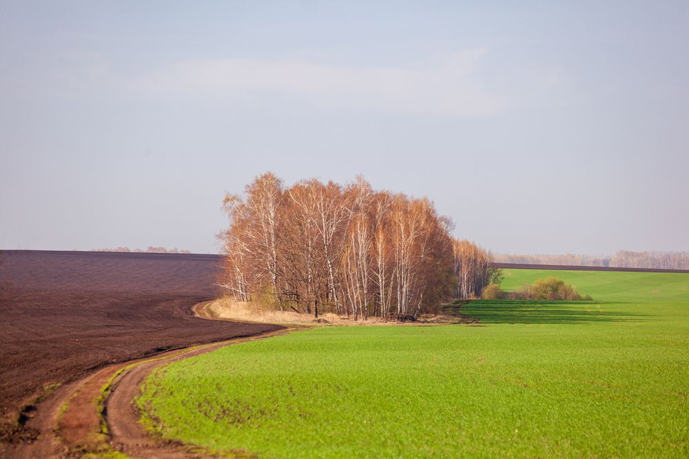 Весна пришла!