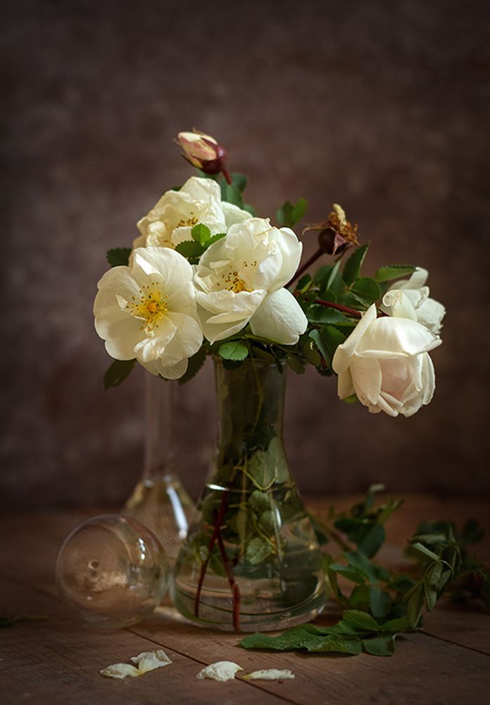 Photo 2858520