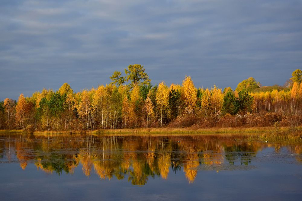 Photo 2858523