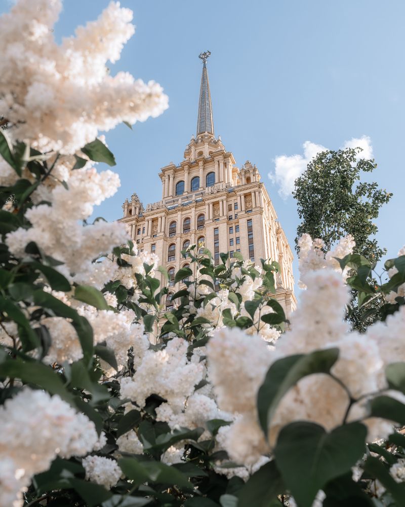 Сирень у гостиницы Украина