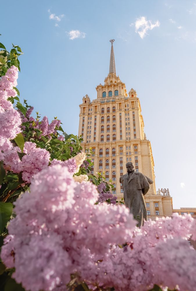 Сирень у гостиницы Украина