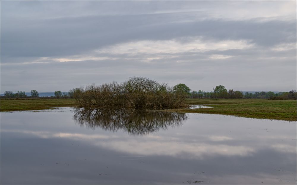 Серое утро, после схода воды.